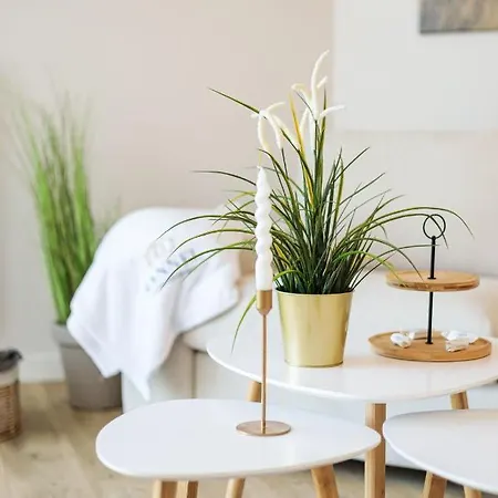 Apartment Premium Sea Z Dostepem Do Basenow, Jacuzzi I Saun-pinea Pobierowo-sannel For Rent *