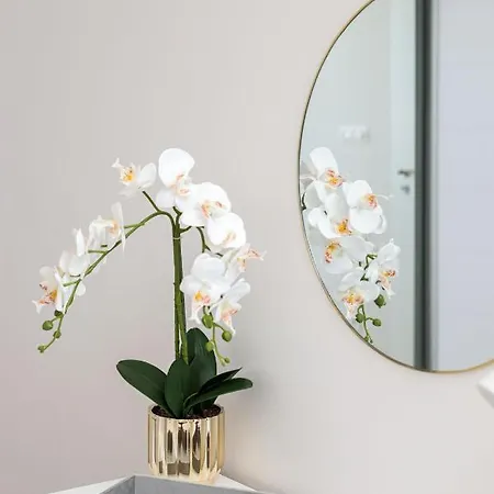 Premium Sea Z Dostepem Do Basenow, Jacuzzi I Saun-pinea Pobierowo-sannel For Rent Apartment *