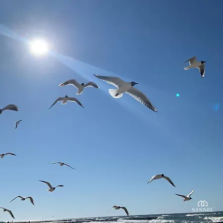 Premium Sea Z Dostepem Do Basenow, Jacuzzi I Saun-pinea Pobierowo-sannel For Rent Apartment