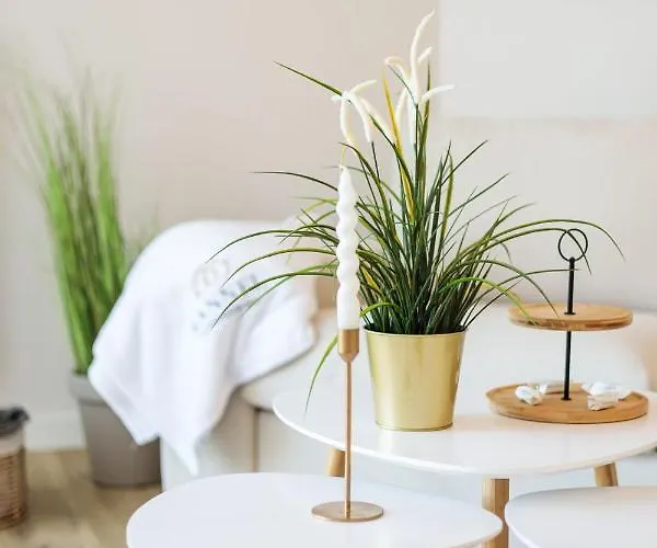 Lejlighed Premium Sea Z Dostepem Do Basenow, Jacuzzi I Saun-pinea Pobierowo-sannel For Rent *