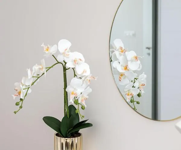 Premium Sea Z Dostepem Do Basenow, Jacuzzi I Saun-pinea Pobierowo-sannel For Rent Lejlighed *