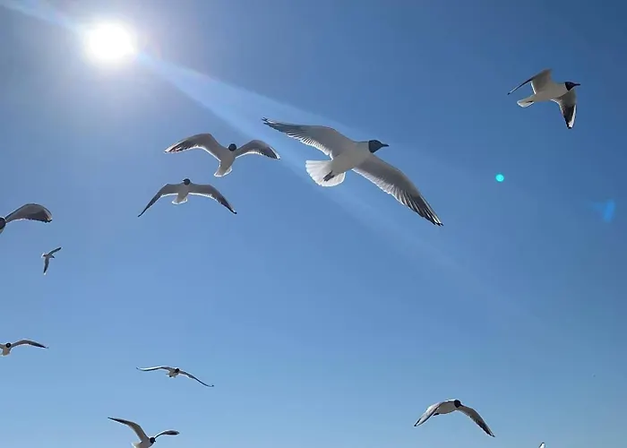 Premium Sea Z Dostepem Do Basenow, Jacuzzi I Saun-pinea Pobierowo-sannel For Rent Lejlighed